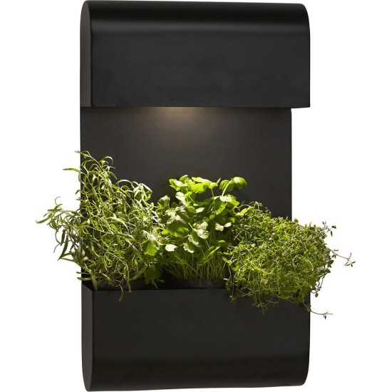 Planta Plant Wall Lamp Black 70 x 40 cm Planta Plant Wall Lamp Black 70 x 40 cm