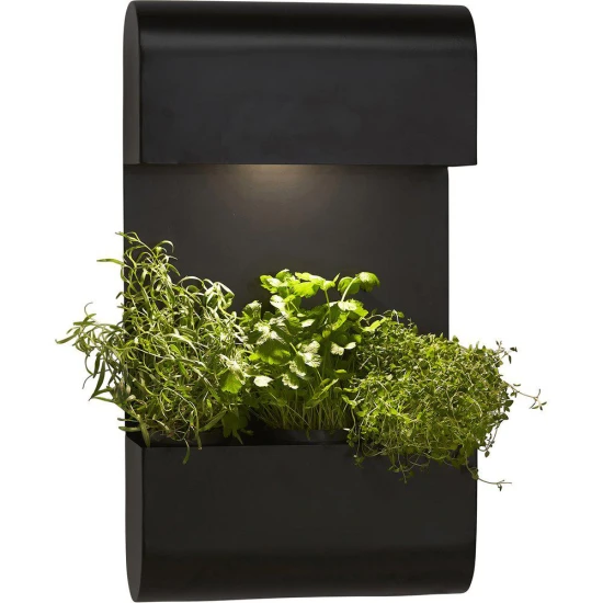 Planta vägglampa svart 70 x 40 cm