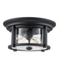 Merrill 2-Lt Outdoor Flush Ceiling Light Black/Clear 33cm IP44