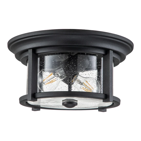Merrill 2-Lt utomhus plafond svart/klar 33cm IP44