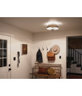 Luella 3-Lt Duo-Mount Ceiling Light Brushed Natural Brass 40.6cm