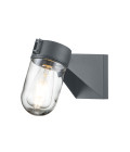 Portofino 1-lt utomhus vägglampa grå/klar 19,7 cm