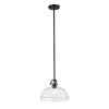 Hampton 1-ljus taklampa grafitgrå/klart glas 33 cm