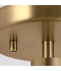 Windsor 1-lt duo-mount ceiling light natural brass/clear glass 25.4 cm