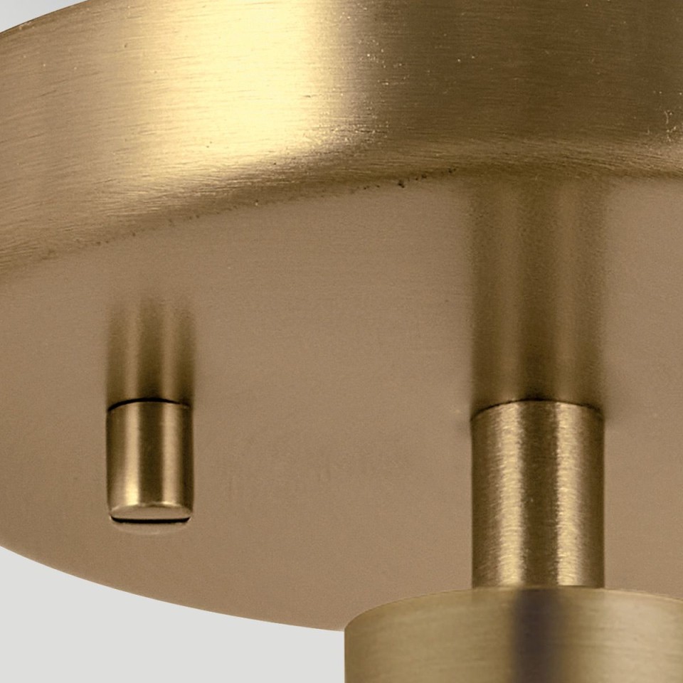 Windsor 1-lt duo-mount ceiling light natural brass/clear glass 25.4 cm