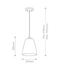 Windsor 1-lt duo-mount ceiling light natural brass/clear glass 25.4 cm