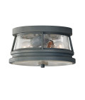 Chelsea Harbor 2-Lt utomhus plafondlampa stormmoln/klar 27,9 cm