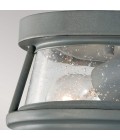 Chelsea Harbor 2-Lt utomhus plafondlampa stormmoln/klar 27,9 cm