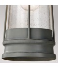 Chelsea Harbor 1-Lt Outdoor Ceiling Light Storm Cloud/Clear 14.6cm IP23