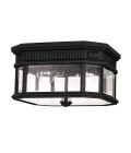 Cotswold Lane 2-Lt Outdoor Flush Ceiling Light Black/Clear 29.2cm IP44