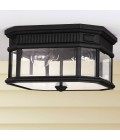 Cotswold Lane 2-Lt Outdoor Flush Ceiling Light Black/Clear 29.2cm IP44