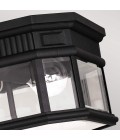 Cotswold Lane 2-Lt Outdoor Flush Ceiling Light Black/Clear 29.2cm IP44