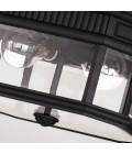 Cotswold Lane 2-Lt Outdoor Flush Ceiling Light Black/Clear 29.2cm IP44