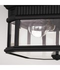 Cotswold Lane 2-Lt Outdoor Flush Ceiling Light Black/Clear 29.2cm IP44
