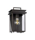 Glenview 1-Lt Small Outdoor Wall Light Antique Bronze/Clear 26.1cm IP44