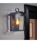 Hodges 1-Lt Large Outdoor Wall Light Ash Black/Clear 41.3cm IP44