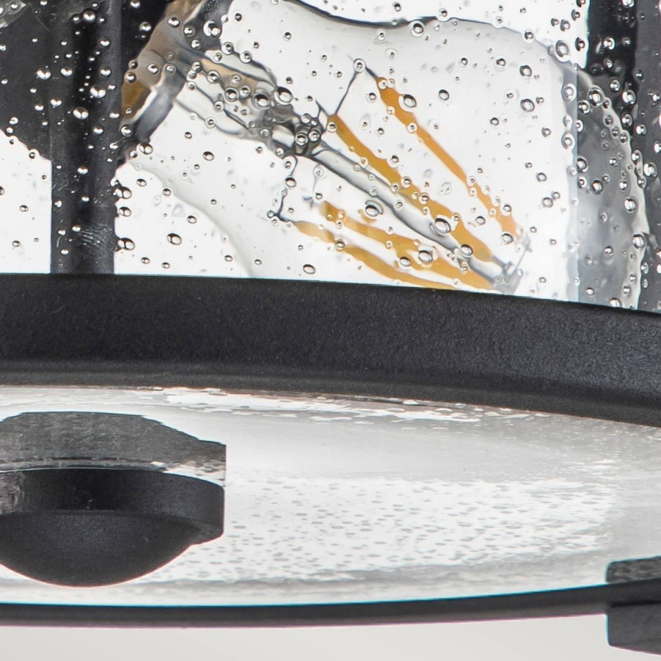 Merrill 2-Lt Outdoor Flush Ceiling Light Black/Clear 33cm IP44