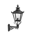Grampian 1-Lt Outdoor Wall Light Black/Clear 82cm