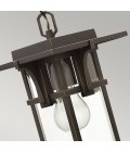 Manhattan 1-Lt Outdoor Ceiling Light Bronze/Clear 18.4cm IP23