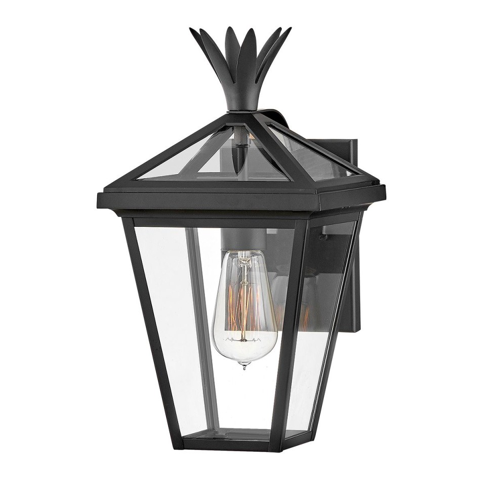Palma 1-Lt Small Outdoor Wall Lantern Black/Clear 36.8cm IP44