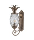 Plantation 1-Lt Medium Outdoor Wall Light Burnished Bronze/Glass 54.1cm IP44