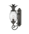 Plantation 1-Lt Medium Outdoor Wall Light Museum Black/Glass 54.1cm IP44