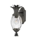 Plantation 1-Ljus Utomhusvägglampa Svart/Glas 35,6cm IP44