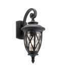 Admirals Cove 1-Lt Medium Outdoor Wall Light Textured Black/Clear 47.8cm IP44