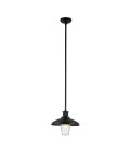 Allenbury 1-Lt Outdoor Ceiling Light Black/Clear 30.5cm IP44
