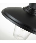 Allenbury 1-Lt Outdoor Ceiling Light Black/Clear 30.5cm IP44