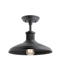 Allenbury 1-Lt Outdoor Ceiling Light Black/Clear 30.5cm IP44