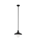 Allenbury 1-Lt Outdoor Ceiling Light Black/Clear 30.5cm IP44