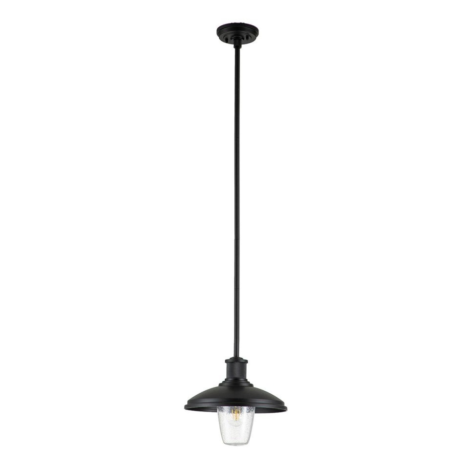 Allenbury 1-Lt Outdoor Ceiling Light Black/Clear 30.5cm IP44