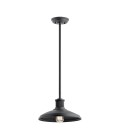 Allenbury 1-Lt Outdoor Ceiling Light Black/Clear 30.5cm IP44
