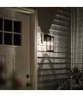 Barras 1-Lt Small Outdoor Wall Light Black/Clear 29cm IP44