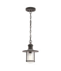 Riverwood 1-Lt Outdoor Ceiling Light Weathered Zinc/Clear 20.3cm IP45