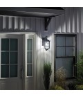 Royal Marine 1-Lt Medium Outdoor Wall Light Distressed Black/Clear 46.2cm IP44
