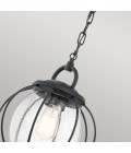 Vandalia 1-Lt Medium Outdoor Ceiling Light Black/Clear 27.9cm IP44