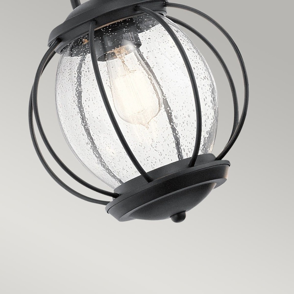 Vandalia 1-Lt Medium Outdoor Ceiling Light Black/Clear 27.9cm IP44