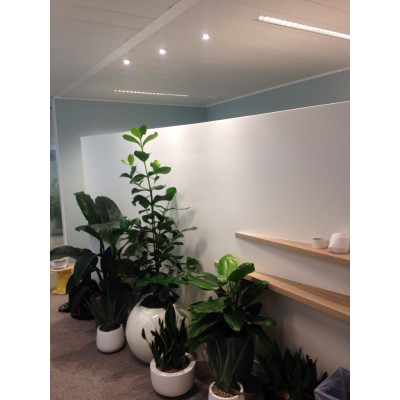 Kontorsbelysning projekt i Bryssel