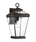Ravine 1-ljus stor utomhus vägglampa brons/klar 51 cm IP44