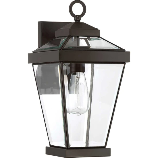 Ravine 1-ljus medium utomhusvägglampa brons/klar 41,2 cm IP44
