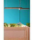 Led40 Shape 4 Ceiling Lamp Oak/Walnut/Ash 114cm