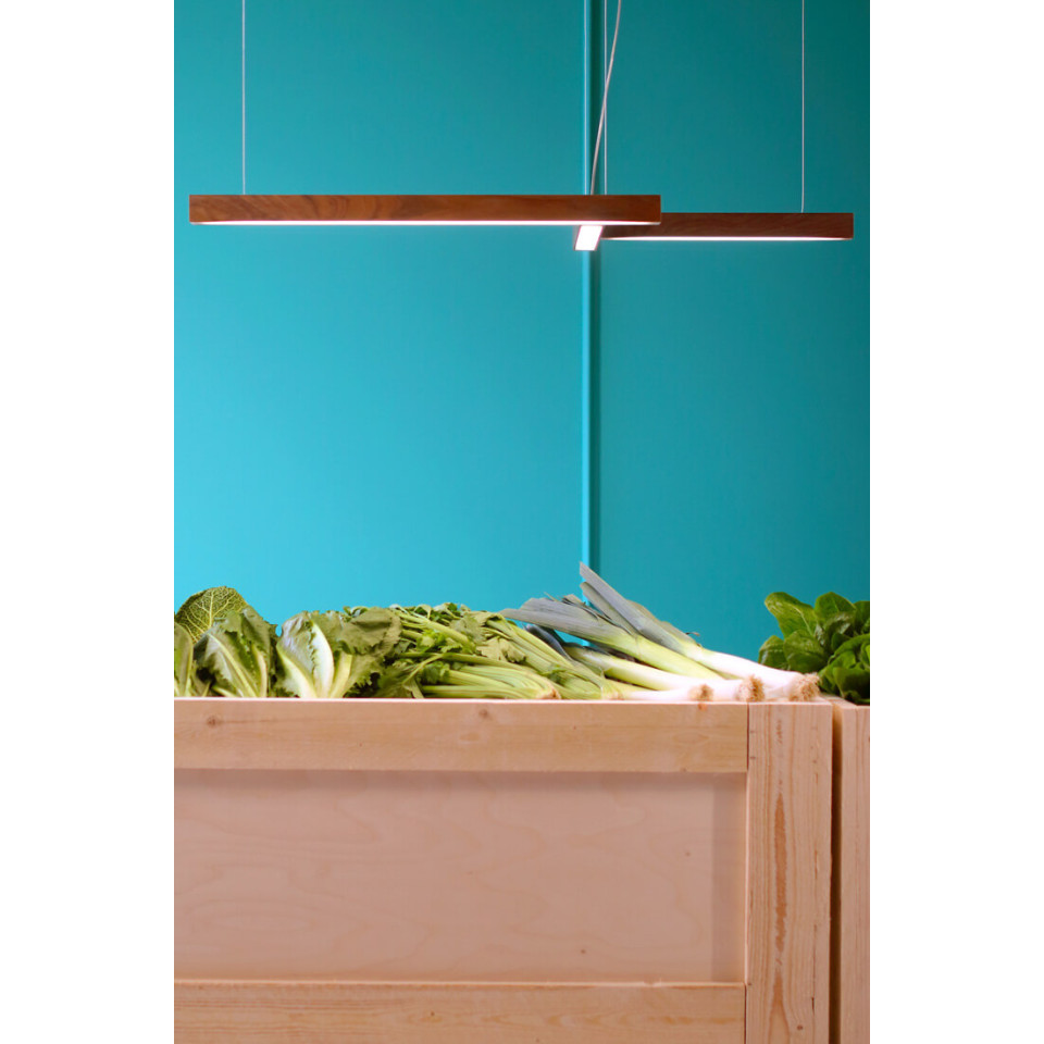 Led40 Shape 4 Ceiling Lamp Oak/Walnut/Ash 114cm
