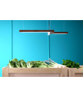 Led40 Shape 4 Ceiling Lamp Oak/Walnut/Ash 114cm