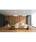 Acoustic Circulo acoustic ceiling light 4000k black 60cm