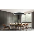 Acoustic Circulo acoustic ceiling light 4000k black 60cm