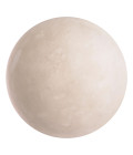Triton vägglampa mässing/vit 24cm Eichholtz Triton vägglampa mässing/vit 24cm