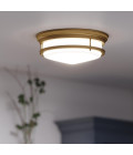 Hadley 3 light plafond IP44 brushed bronze 35.6cm Quoizel Hadley 3 light plafond IP44 brushed bronze 35.6cm