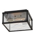 Monte 2-lt outdoor flush ceiling light black/clear 30.5 cm IP44